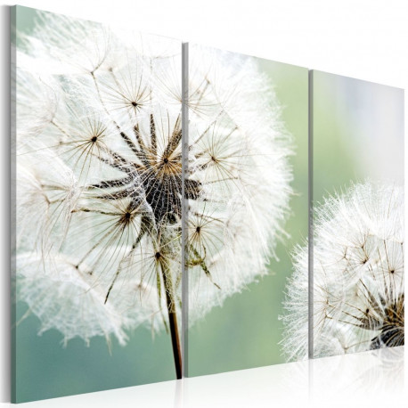 Seinapilt - Fluffy dandelions - 90x60