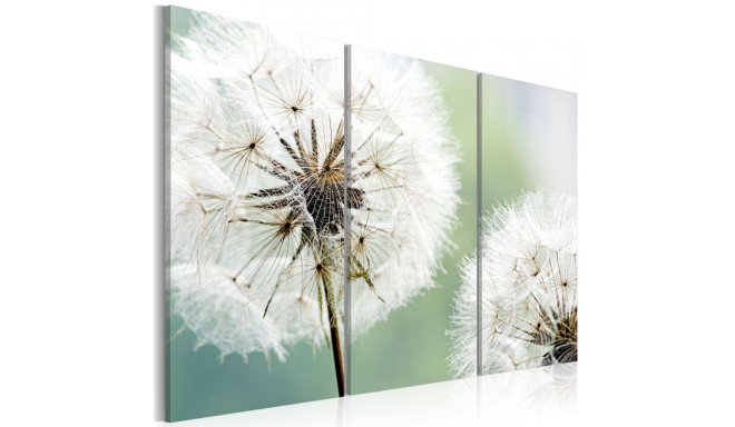 Seinapilt - Fluffy dandelions - 90x60