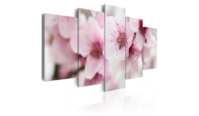 Seinapilt - Cherry- gentleness and beauty - 200x100