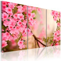 Seinapilt - Cherry flower - 90x60
