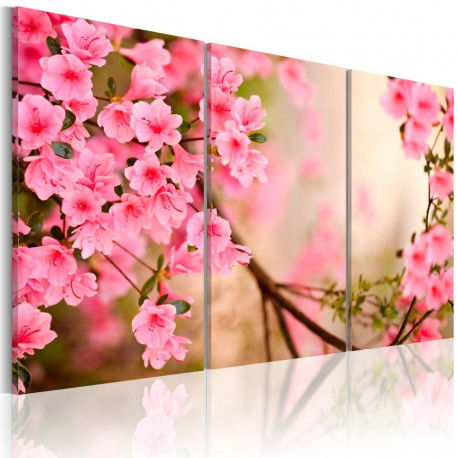 Seinapilt - Cherry flower - 120x80