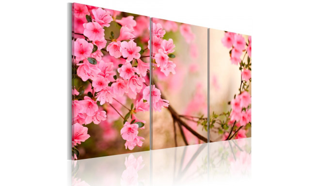Seinapilt - Cherry flower - 120x80