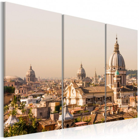Seinapilt - Above the roofs of The Eternal City - 60x40