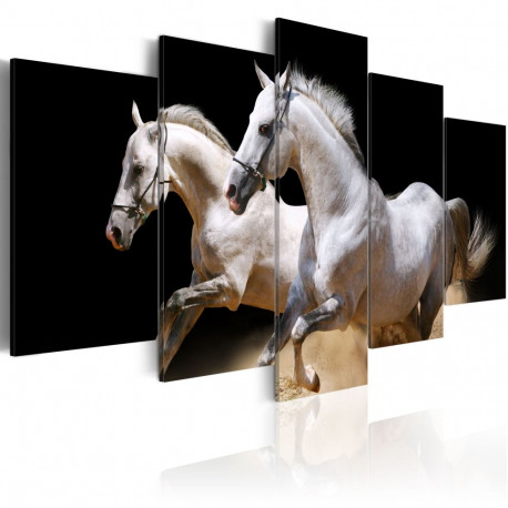 Seinapilt - Gallop- freedom and power - 200x100