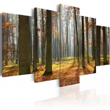 Seinapilt - A nice forest landscape - 200x100