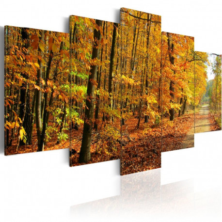 Seinapilt - An alley among colorful leaves - 200x100