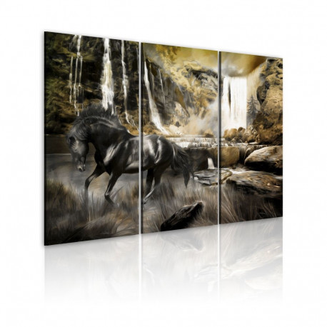 Seinapilt - Black horse and rocky waterfall - 60x40