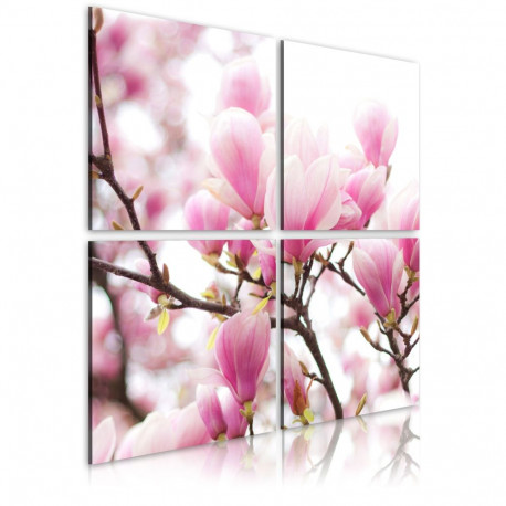 Seinapilt - Blooming magnolia tree - 80x80