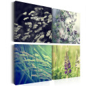 Seinapilt - Magical field - 40x40