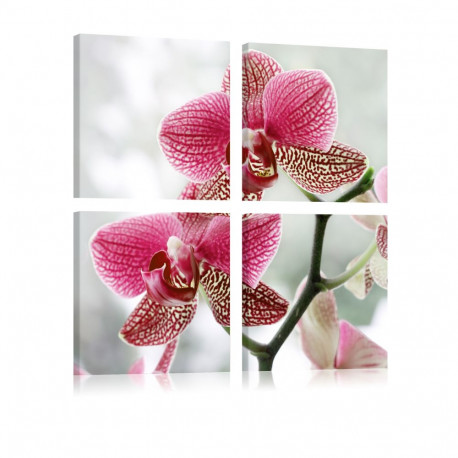Seinapilt - Fancy orchid - 90x90