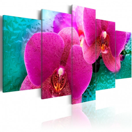 Seinapilt - Exotic orchids - 100x50