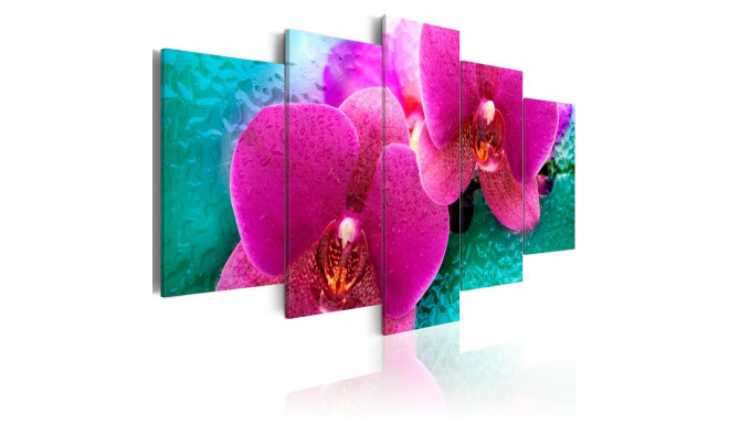 Seinapilt - Exotic orchids - 100x50