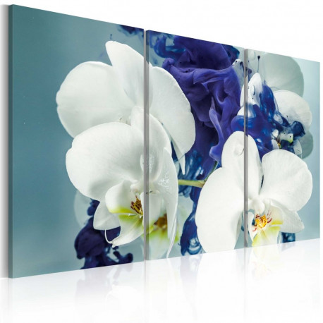 Seinapilt - Chimerical orchids - 90x60