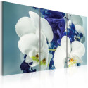 Seinapilt - Chimerical orchids - 60x40