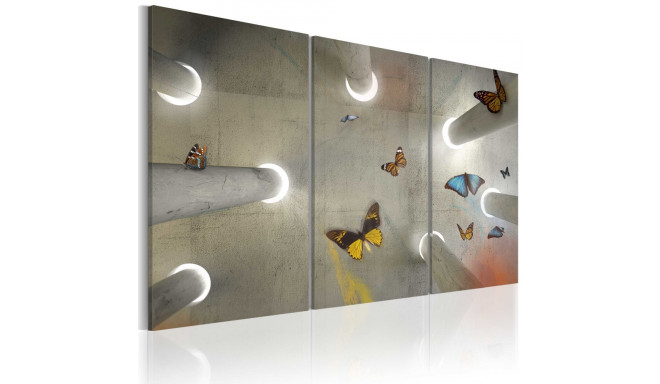 Seinapilt - Be free... - 60x40