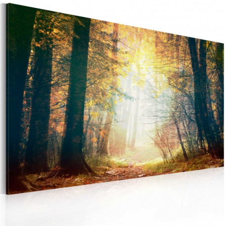 Seinapilt - Beauty of autumn - 60x40