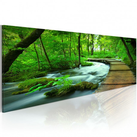 Seinapilt - Forest broadwalk - 120x40