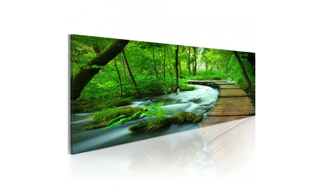 Seinapilt - Forest broadwalk - 120x40