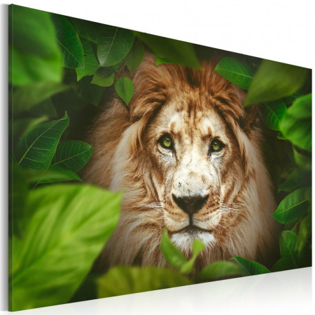 Seinapilt - Eyes of the jungle - 60x40