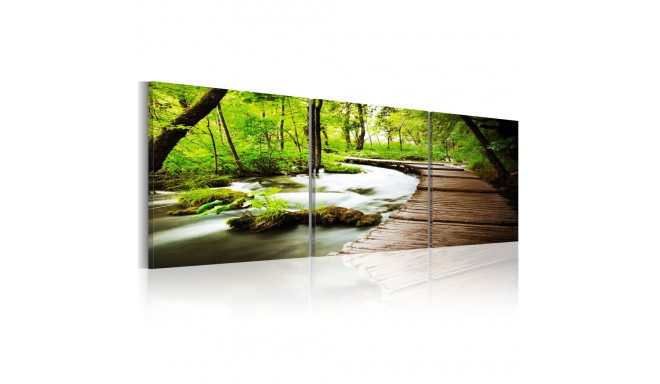 Seinapilt - Forest Brook - 150x50