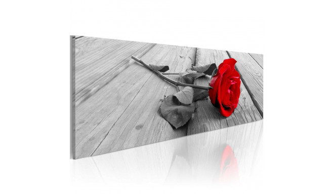 Seinapilt - Carmine rose - 135x45