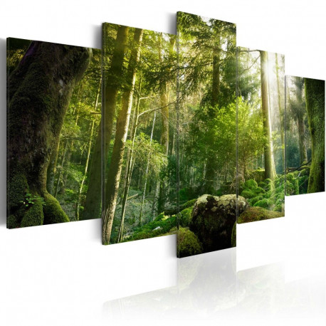 Seinapilt -  The Beauty of the Forest - 100x50