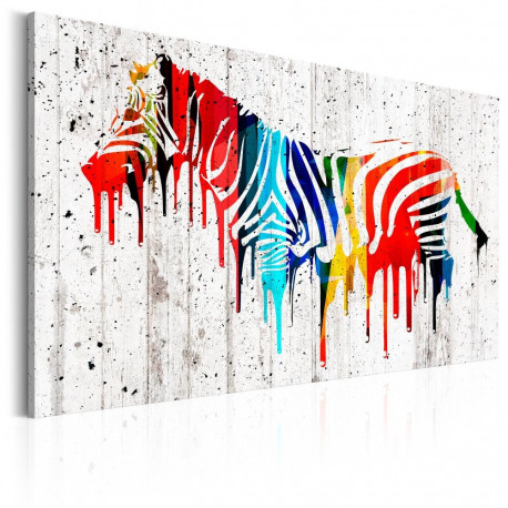 Seinapilt - Colourful Zebra - 90x60