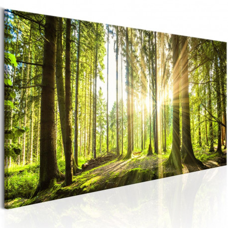 Seinapilt - Daylight - 135x45