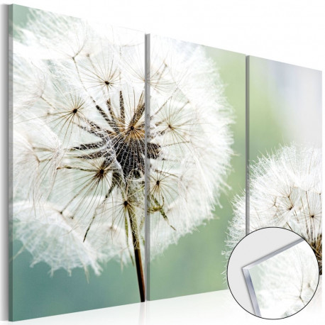 Fotoakrüül - Fluffy Dandelions [Glass] - 60x40