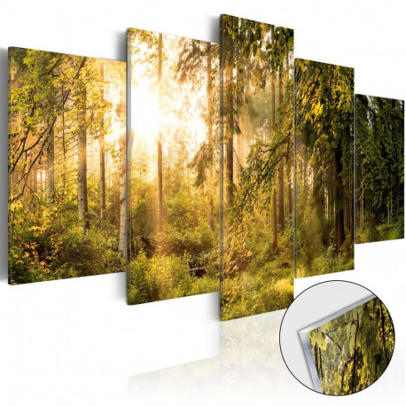 Fotoakrüül - Magic of Forest [Glass] - 100x50