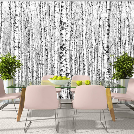 Fototapeet - Birch forest - 100x70