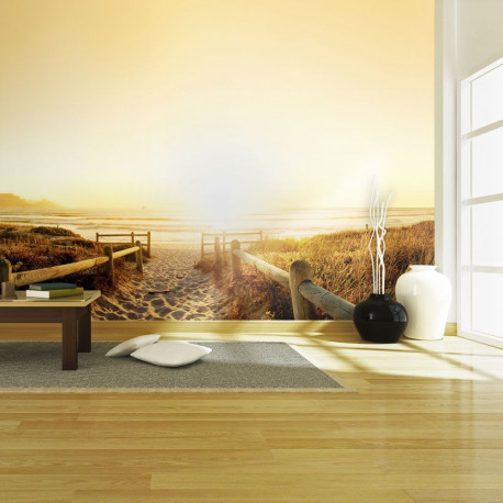 Fototapeet - Going in the direction of the sun... - 450x270
