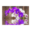 Fototapeet - Connection - 150x105 Fototapeet - Connection - 150x105