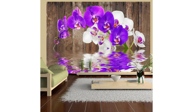 Fototapeet - Connection - 100x70