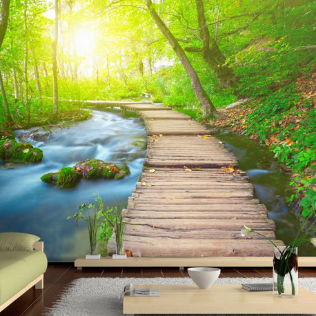 Fototapeet - Green forest - 150x105