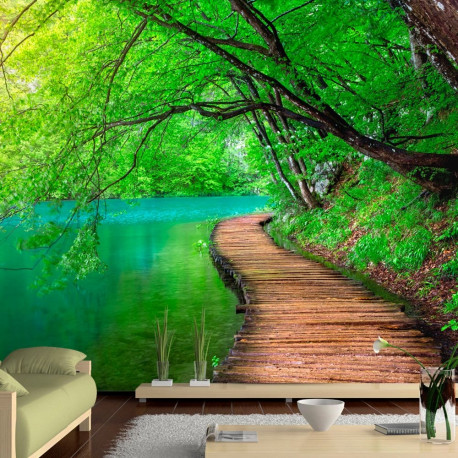 Fototapeet - Green peace - 200x140