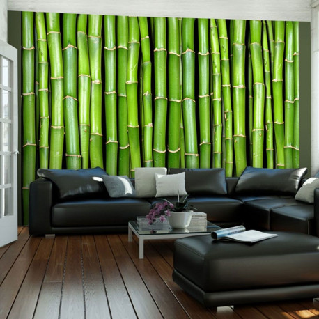 Fototapeet - Bamboo wall - 350x270