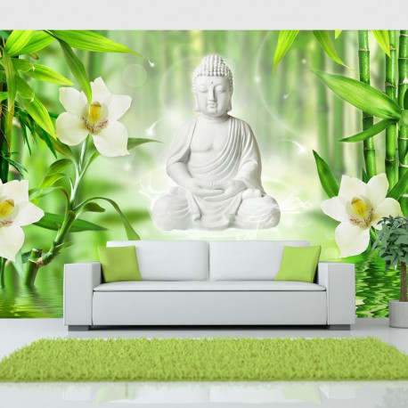 Fototapeet - Buddha and nature - 200x140
