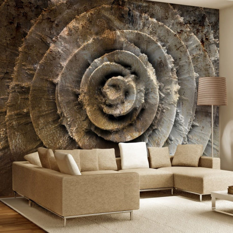 Fototapeet - Desert rose - 100x70