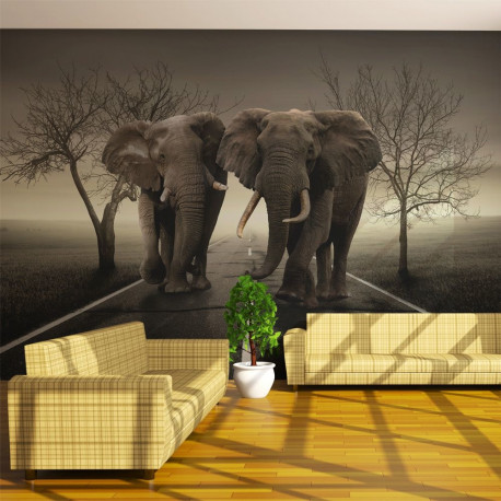 Fototapeet - City of elephants - 450x270