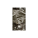 Fototapeet - Diversitas - 50x1000