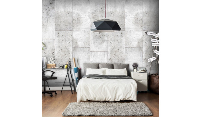Fototapeet - Concretum murum - 50x1000
