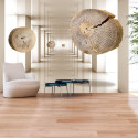 Fototapeet - Flying Discs of Wood - 100x70 Fototapeet - Flying Discs of Wood - 100x70