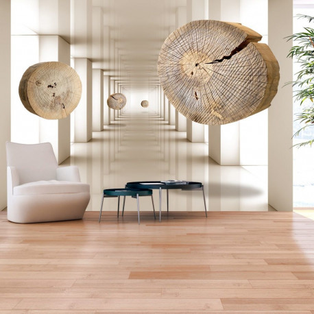 Fototapeet - Flying Discs of Wood - 150x105