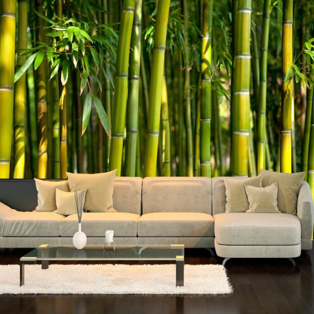 Fototapeet - Oriental Garden - 350x245