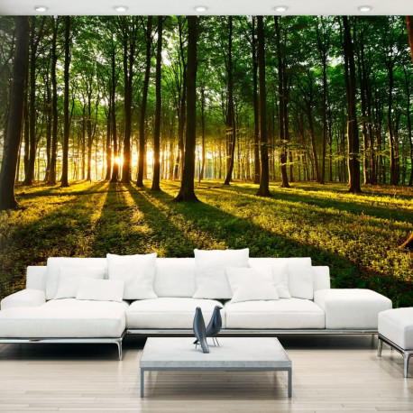 Fototapeet - Mystical Morning - 200x140