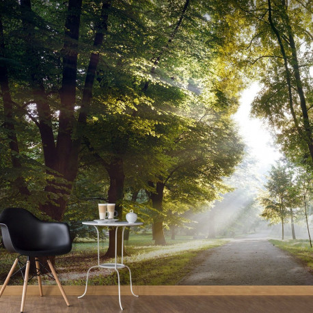 Fototapeet - Morning Walk - 400x280