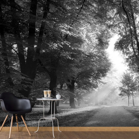 Fototapeet - Path of Memories - 100x70