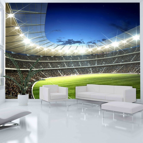 Fototapeet - National stadium - 200x154