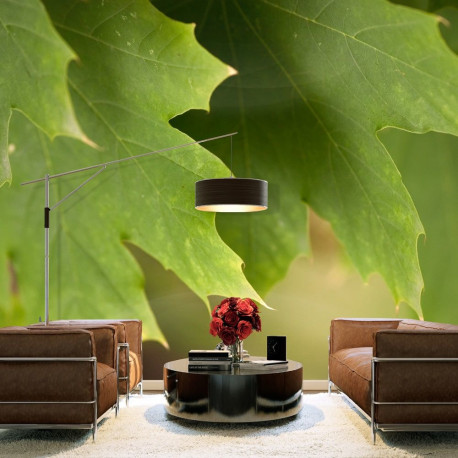 Fototapeet - Leaves - 350x270